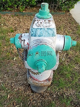 消防栓,市民,緊急