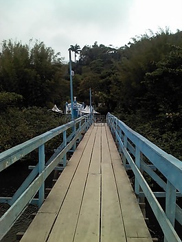 橋,力拓,景觀