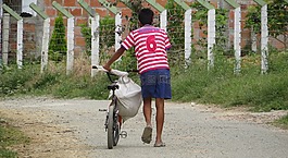 年輕,農(nóng),自行車