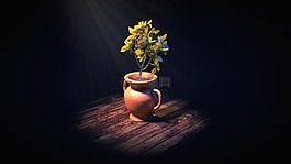 室內(nèi)植物,廠,葉子