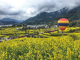 婺源,油菜花,熱氣球