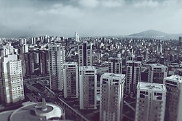 建筑物,城市,市容