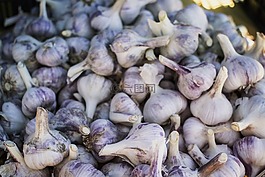大蒜,健康,生產(chǎn)