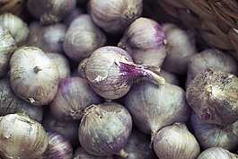 instagram的,博客,社會(huì)