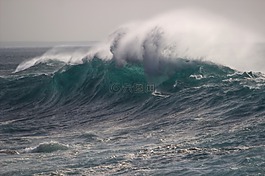 沖浪,海,水域