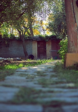 路徑,花園,徑
