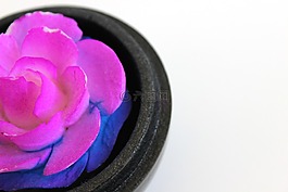 花,purpler,粉红色