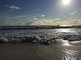 澳大利亞,旅行,愛情