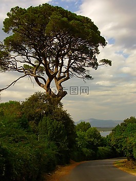 托斯卡納,意大利,景觀