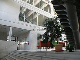 心房,aula,大学