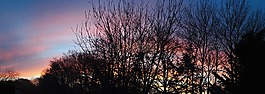 天空,日出,早上