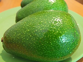 鱷梨,食品,熱帶