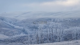 冬天,雪,自然