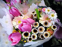 束鮮花,郁金香,春