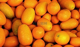 熱帶水果,水果,橙