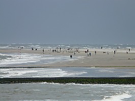 海灘,海,風