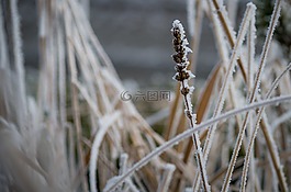 性質(zhì),弗羅斯特,廠