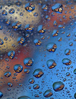 滴,反射,水