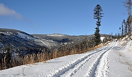 雪,冬季,性質(zhì)
