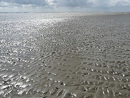 瓦登海,美國瓦茨,北海