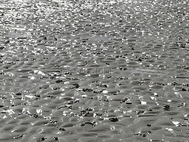 瓦登海,美國瓦茨,北海
