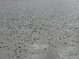 瓦登海,美國瓦茨,北海