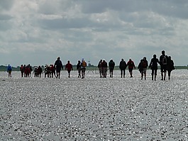 沿海灘涂遠足,priel,遠足