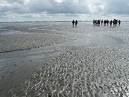 沿海灘涂遠足,priel,遠足