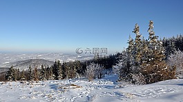 雪,冬季,冷