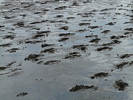 沿海灘涂遠足,痕跡,遠足