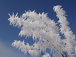 雪,霜,冬天