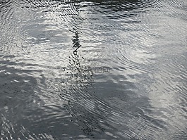 水面,水,景觀