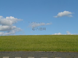 堤防工程,草地,草