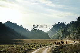 lanscape,山,国家