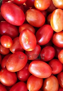 番茄,顏色,質(zhì)地
