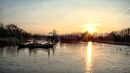 日落,湖,樹