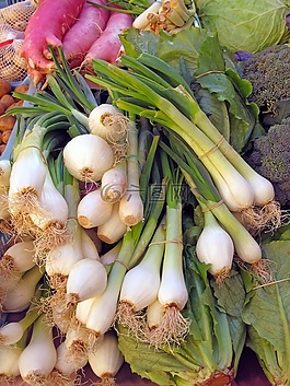蔬菜,市場,洋蔥