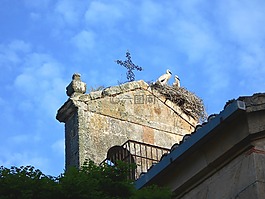 鸛,小雞,鐘塔