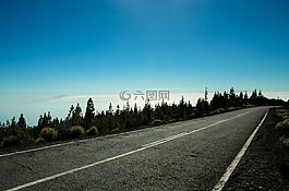 公路,景觀,特內里費島