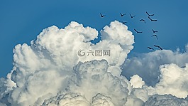 自然,天空,戶外