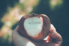 水果,食品,自然