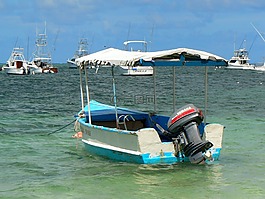 墨西哥,海滩,假日