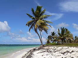 多明尼加共和國,蓬塔卡納,海灘