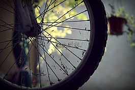 自行車,車輪,光線