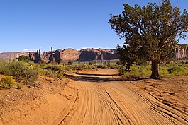 纪念碑山谷,尘土飞扬的道路,树