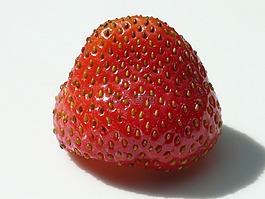 草莓,圓潤(rùn)的,紅色