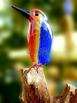 翠鳥,鳥,動物