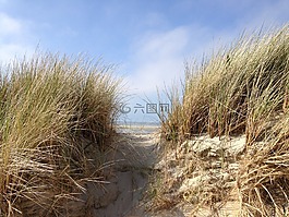 沙丘,北海,海灘