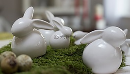 裝飾,兔,復(fù)活節(jié)