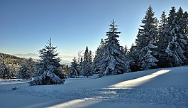 景觀,山,視圖